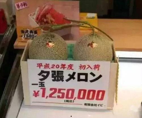 娱乐大瓜吃不停